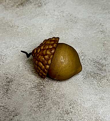 ACORN